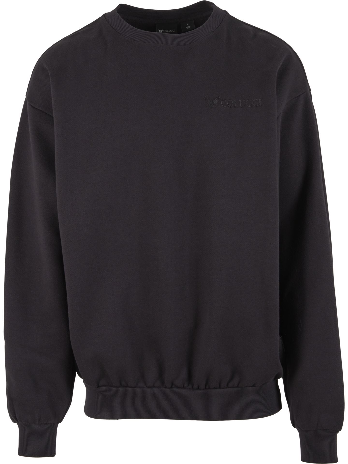 Sweatshirt with Icarus print