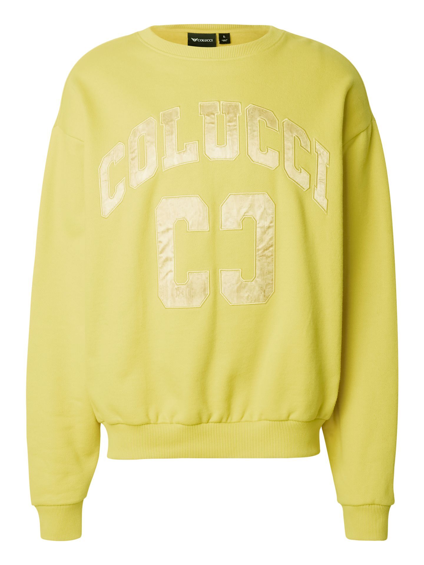  College Logo Sweatshirt