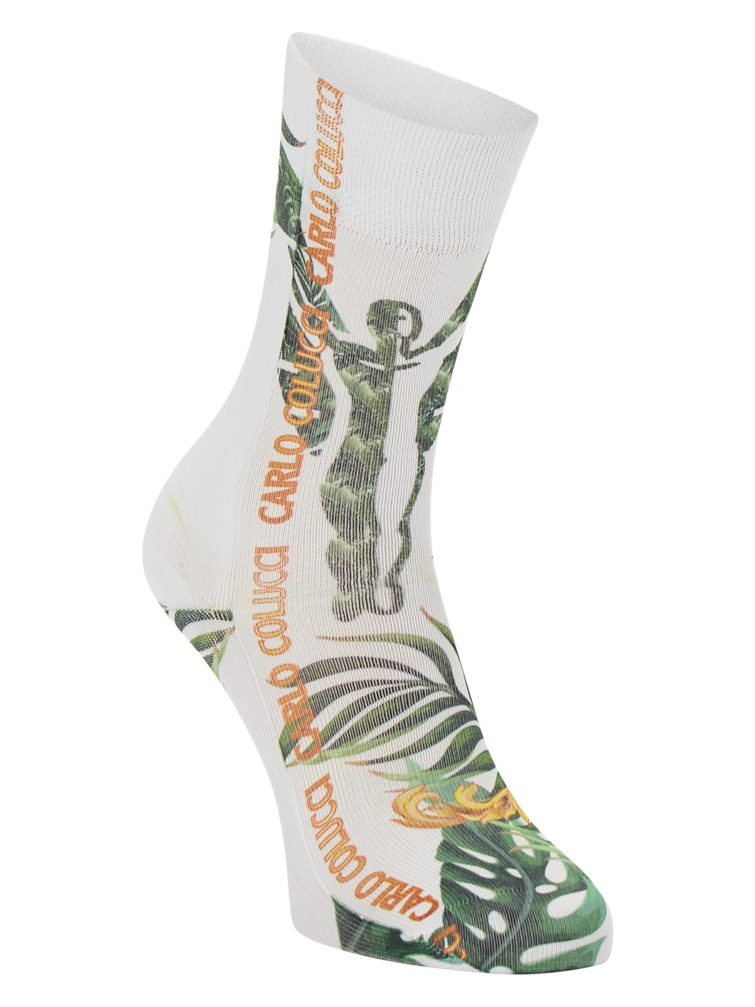 Bedruckte Socken -Farn-Ikarus-