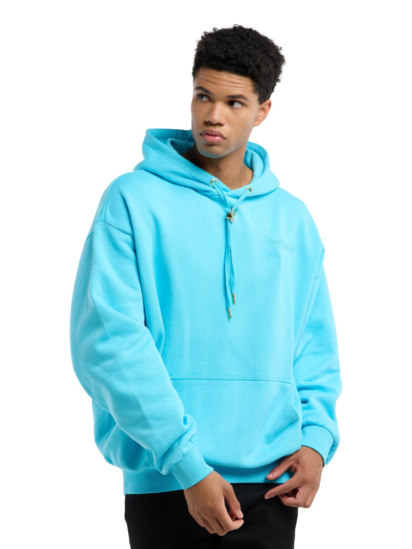 Hoodie with embroidery