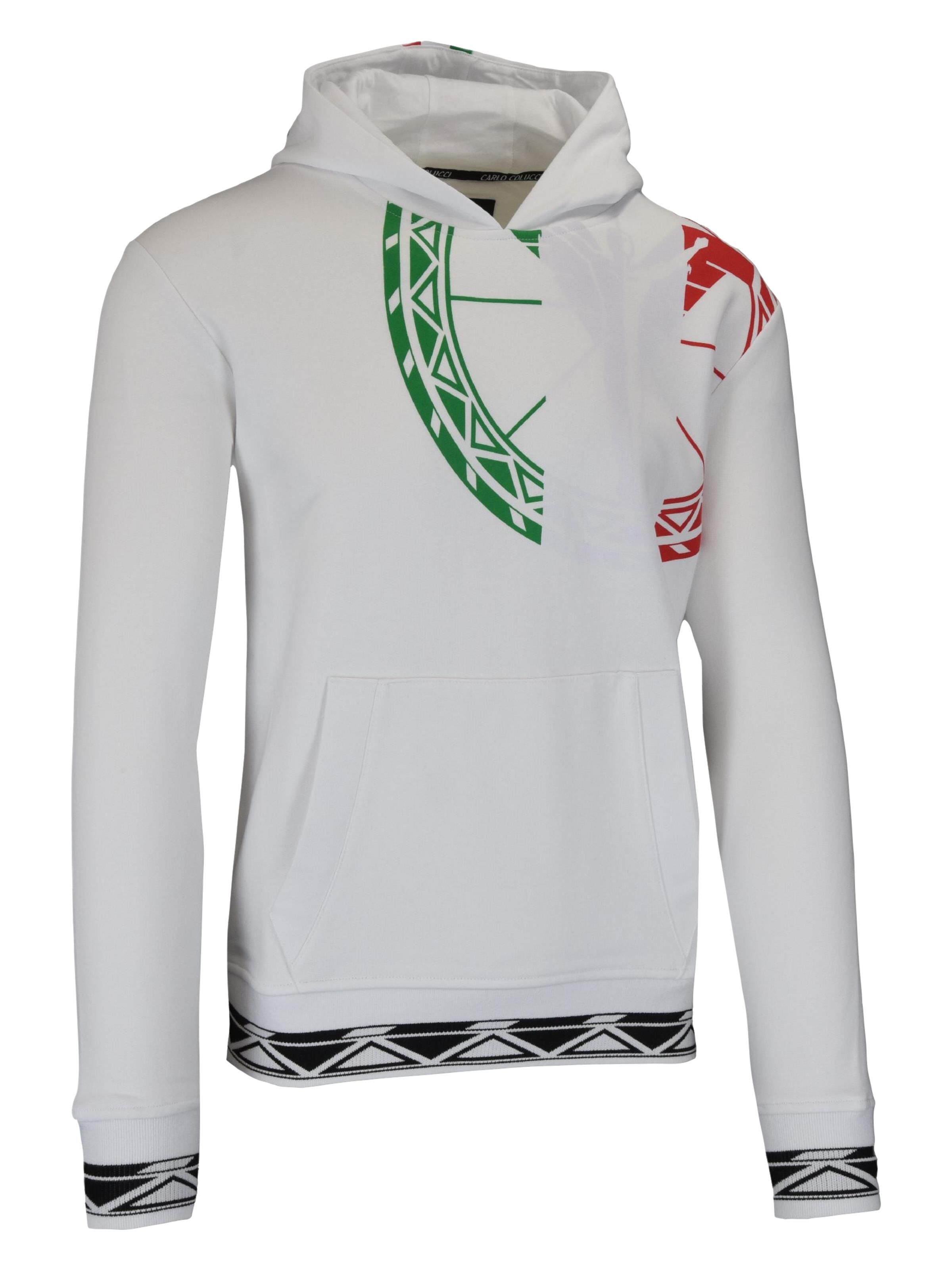  Sweathoodie with big front logo