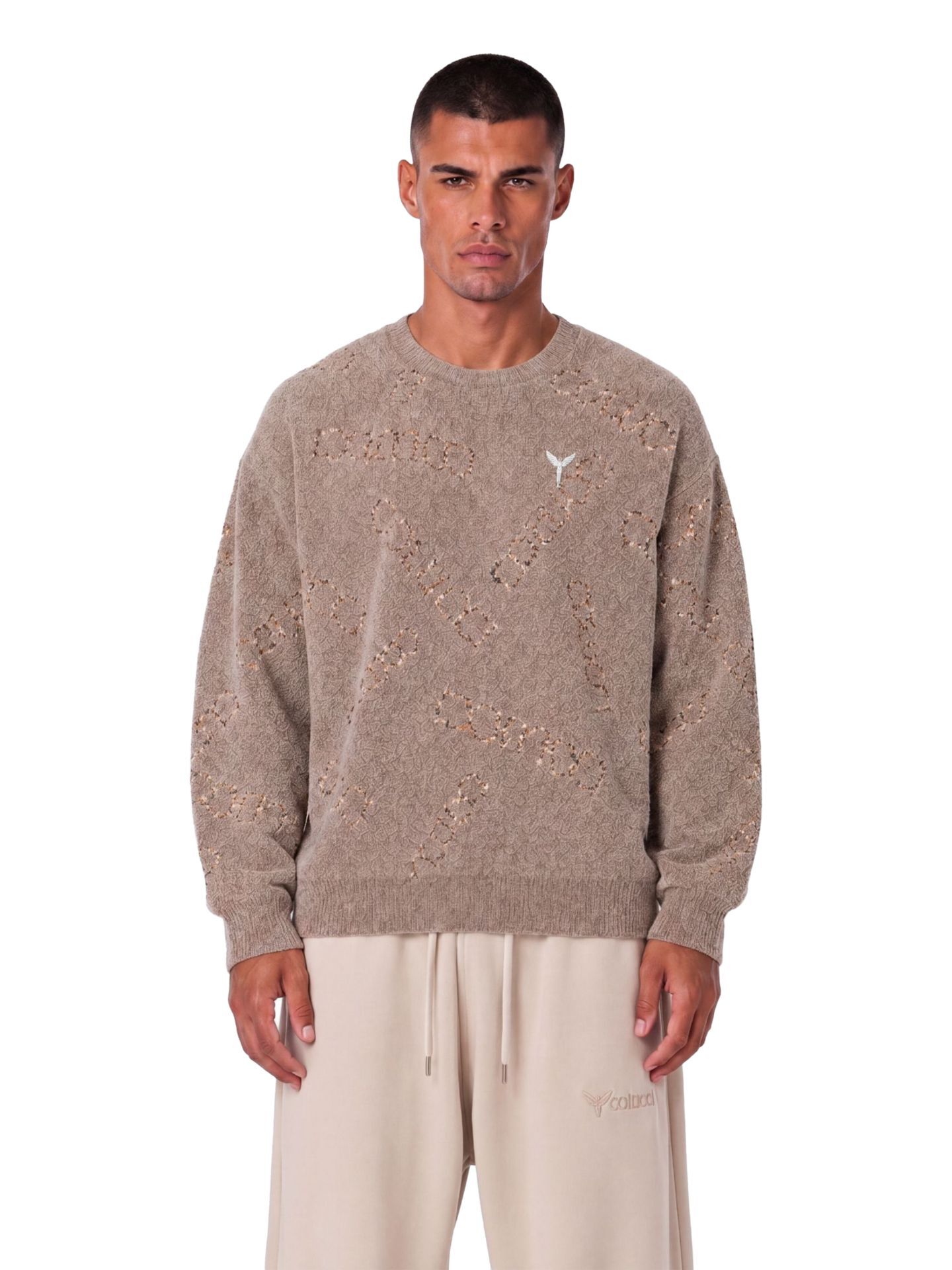  Chenille Logo Jacquard Sweater